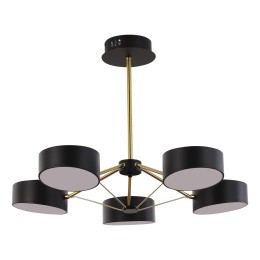 Потолочный светильник Evoluce Valle SLE6005-402-05