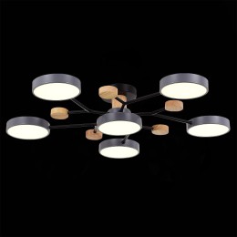 Люстра на штанге Evoluce Faema SLE6006-702-06