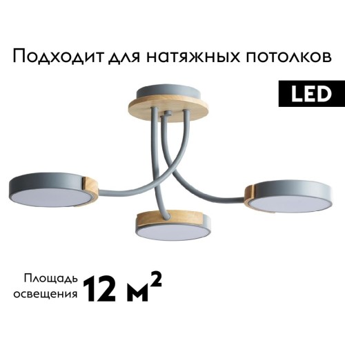 Потолочная люстра Lumion Arley 5655/54CL