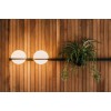Настенный светильник ImperiumLoft Palma 99816-22