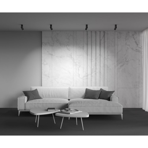 Светодиодный спот Maytoni Dafne C027CL-L10B