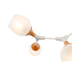 Потолочный светильник EVOLUCE CIOTOLLA SLE113502-05