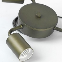 Потолочная люстра Lussole Fremont LSP-8814