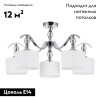 Потолочная люстра Arte Lamp Ibiza A4038PL-5CC
