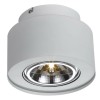 Потолочный светильник Arte Lamp Cliff A5643PL-1WH