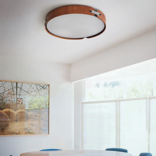 Потолочный светильник ImperiumLoft Range 195539-26