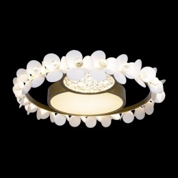 Потолочный светильник Loft IT Bride 10174