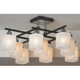 Потолочная люстра Lussole Costanzo LSL-9007-09