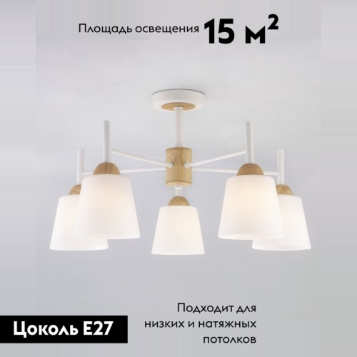 Потолочная люстра Eurosvet Fresco 70085/5 белый