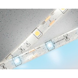 Светодиодная лента Ambrella Light LED Strip 12В 5050 7,2Вт/м 6500K 5м IP65 GS1903
