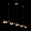 Подвесная светодиодная люстра ST Luce Pances SL6000.303.05