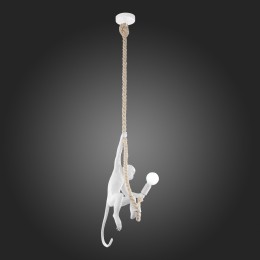 Подвесной светильник Evoluce Tenato SLE115103-01