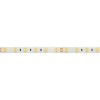 Светодиодная лента Arlight Rtw-se-b60-10mm 5060 015279(2)