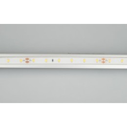 Светодиодная лента герметичная Arlight RTW-PFS-A60-11mm 24V Blue (4.8 W/m, IP68, 2835, 5m) 034160