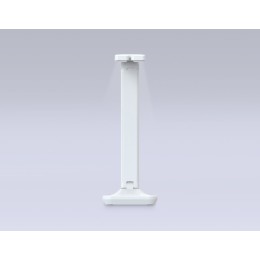 Настольная лампа Ambrella Light Desk DE490
