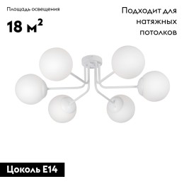 Потолочная люстра Vitaluce V4995-0/6PL