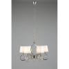 Подвесная люстра Aployt Reni APL.717.03.06