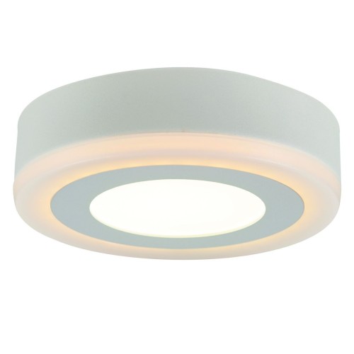 Потолочный светодиодный светильник Arte Lamp Antares A7806PL-2WH