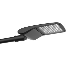 Уличный светодиодный консольный светильник Favourite Highway 3042-1U