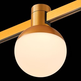 Трековый магнитный светильник ST Luce Farm ST815.206.05