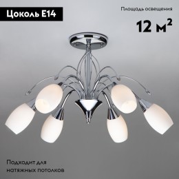 Потолочная люстра Eurosvet 22080/6 хром