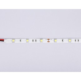 Светодиодная лента Ambrella Light LED Strip 12В 5050 7,2Вт/м 6500K 5м IP20 GS1803