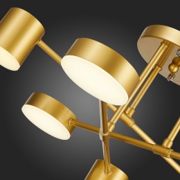 Потолочная люстра Evoluce Nobel SLE201022-06