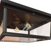 Потолочный светильник LOFT IT Modern filament Loft3110-2C