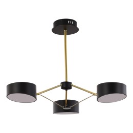 Потолочный светильник Evoluce Valle SLE6005-402-03