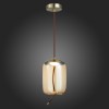 Подвесной светильник ST Luce Ozzio SL6108.323.01