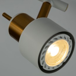 Спот Arte Lamp ALMACH A1906PL-2WH