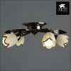 Потолочная люстра Arte Lamp 4 A6061PL-4AB