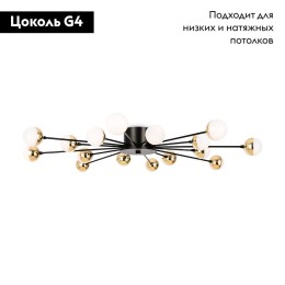 Потолочная люстра Freya Celebrity FR5242CL-16B