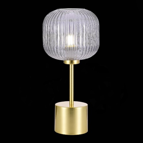 Настольная лампа ST Luce Gran SL1154.304.01