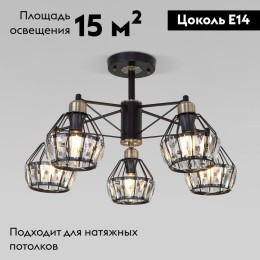 Потолочная люстра Eurosvet Lord 70075/5 черный