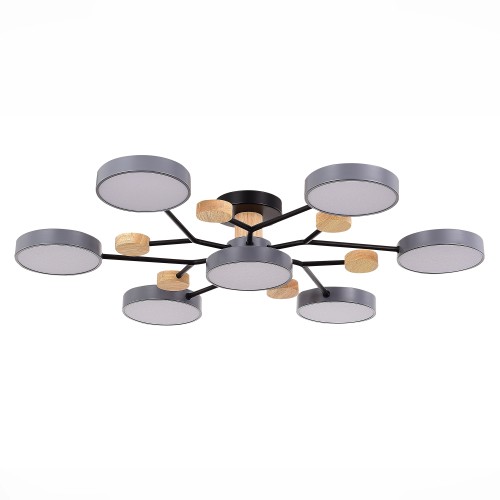 Люстра на штанге Evoluce Faema SLE6006-702-07