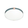 Настенно-потолочный светильник Sonex Otiga blue 7677/EL