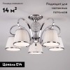 Потолочная люстра Eurosvet Tessa 60088/5 хром