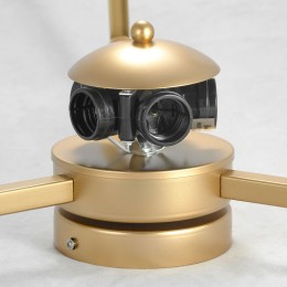 Потолочная люстра Lussole Salinas LSP-8403