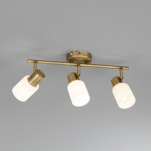 Настенный светильник Eurosvet Corso 20089/3 бронза