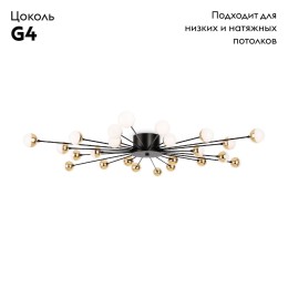 Потолочная люстра Freya Celebrity FR5242CL-24B