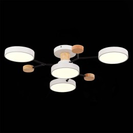 Люстра на штанге Evoluce Faema SLE6006-502-04