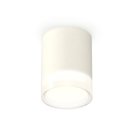 Накладной светильник Ambrella Light Techno XS6301064 (C6301, N6241)