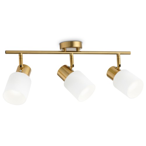 Спот Ambrella Light Traditional TR3972