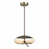 Подвесной светильник ST Luce Ozzio SL6108.303.01