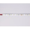 Светодиодная лента Ambrella Light LED Strip 24В 2835 6Вт/м 3000K 5м IP20 GS3001