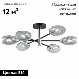 Потолочная люстра Evoluce Gloa SLE155512-06