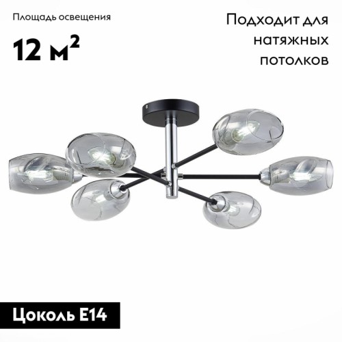 Потолочная люстра Evoluce Gloa SLE155512-06