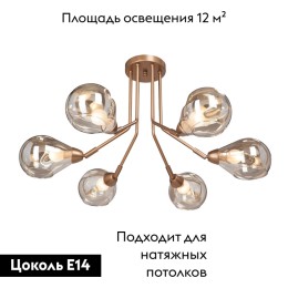 Потолочная люстра Vitaluce V4870-8/6PL