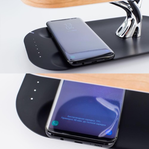 Настольная лампа Citilux Ньютон CL803042